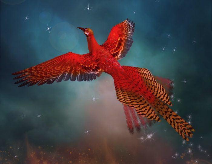Ptak Feniks Mitologia, Znaczenia & Symbolizm