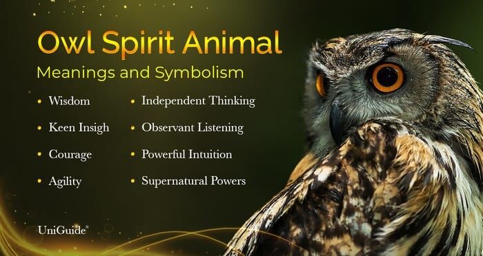 Sowa Symbolika & Znaczenie & Sowa Duchowe zwierzę
